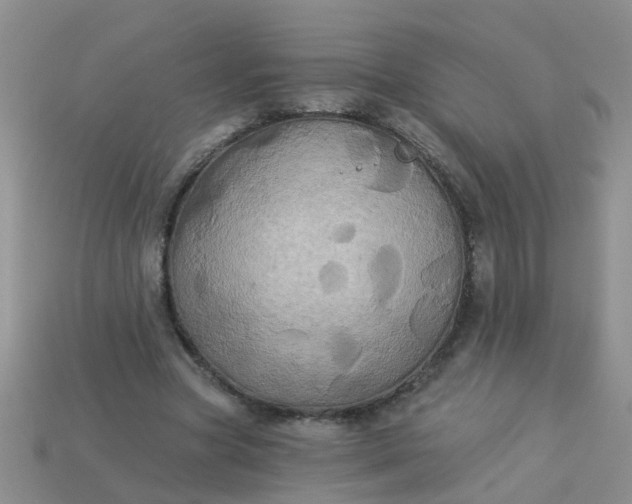 X0000113050537200909101941