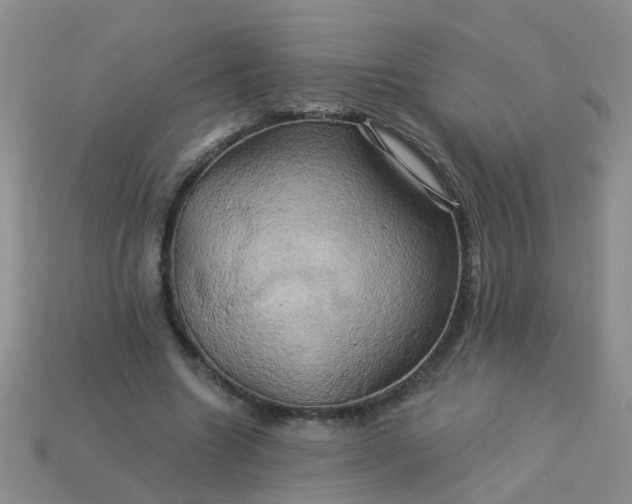 X0000113050538200909101941