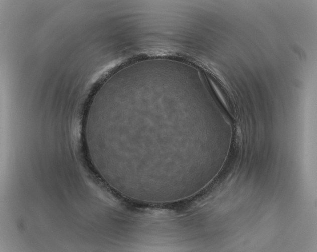 X0000113050539200909101941