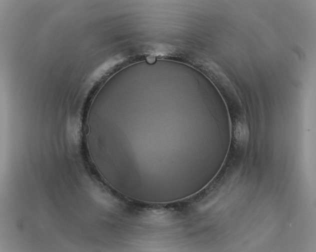 X0000113050540200909101941