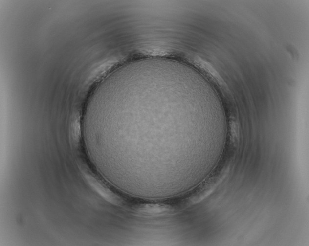 X0000113050541200909101941