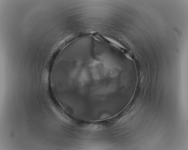 X0000113050542200909101941