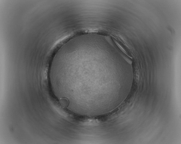 X0000113050543200909101941