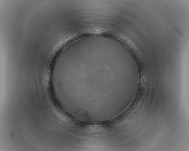 X0000113050544200909101941