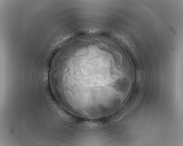 X0000113050545200909101941