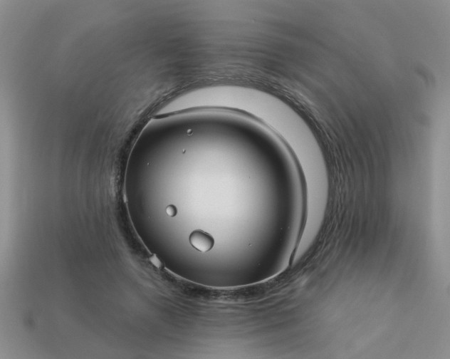 X0000113050546200909101941