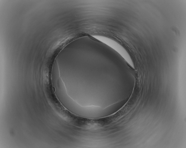 X0000113050547200909101941