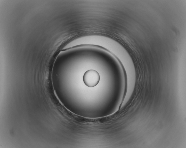 X0000113050548200909101941