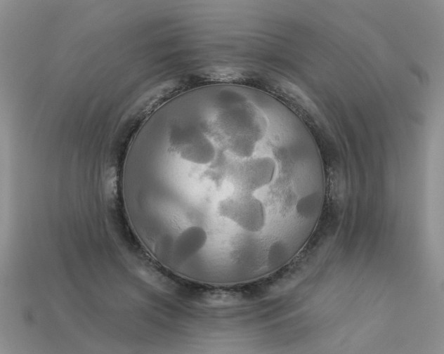 X0000113050549200909101941