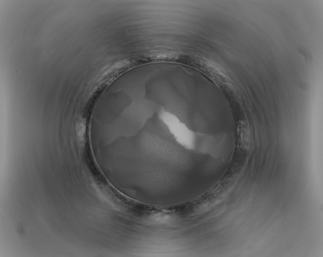 X0000113050550200909101941