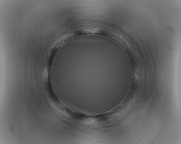 X0000113050551200909101941