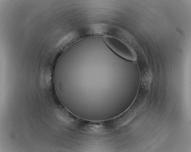 X0000113050552200909101941