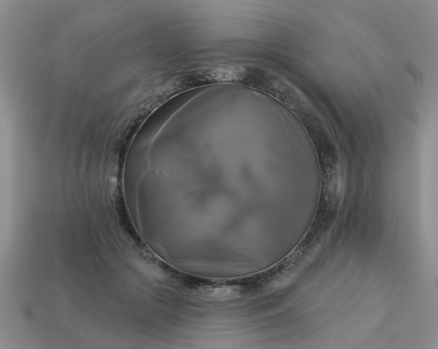 X0000113050553200909101941