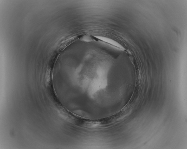 X0000113050554200909101941