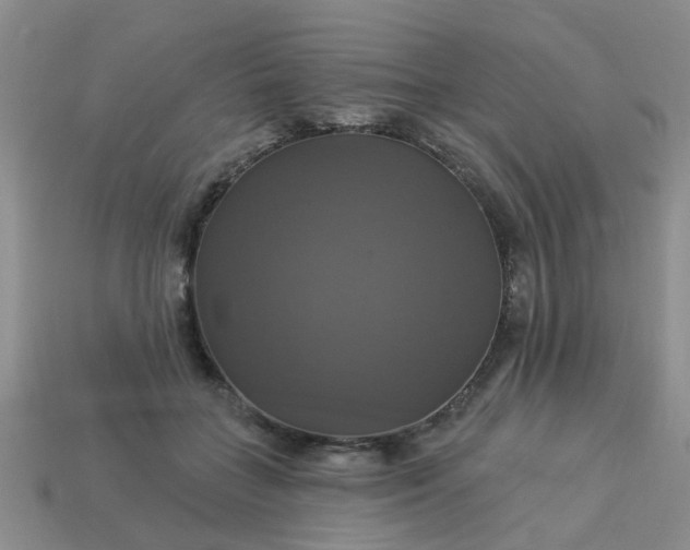 X0000113050555200909101941