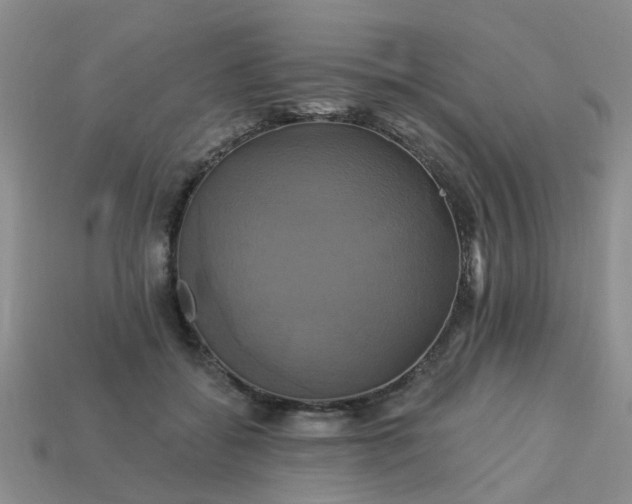 X0000113050556200909101941