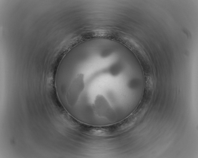 X0000113050557200909101941