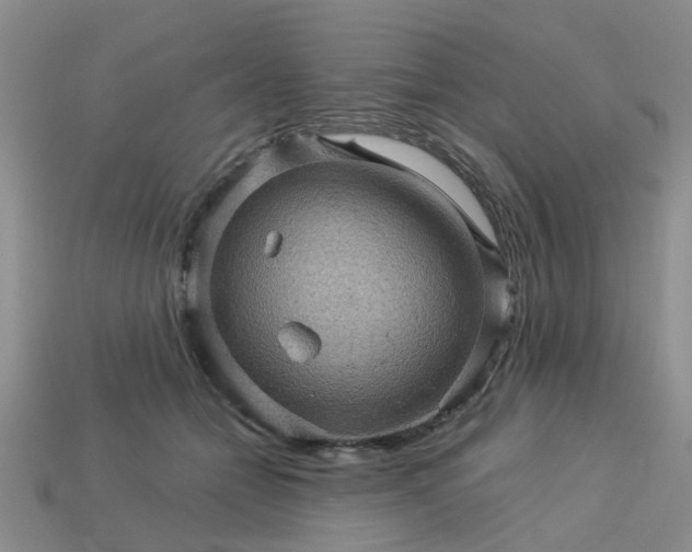 X0000113050558200909101941