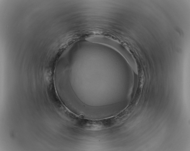 X0000113050559200909101941