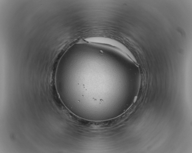 X0000113050560200909101941