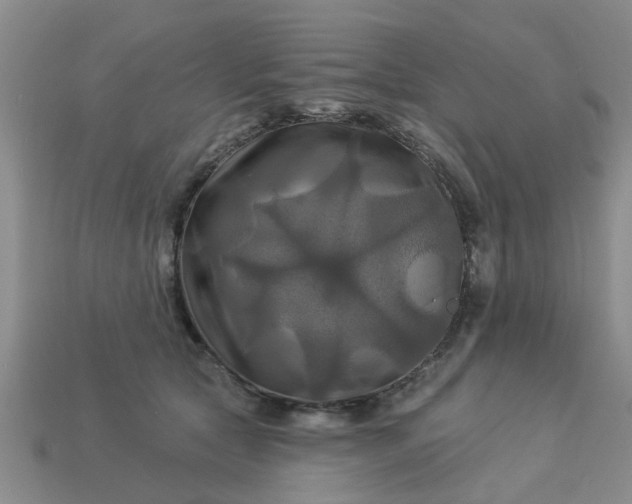 X0000113050561200909101941