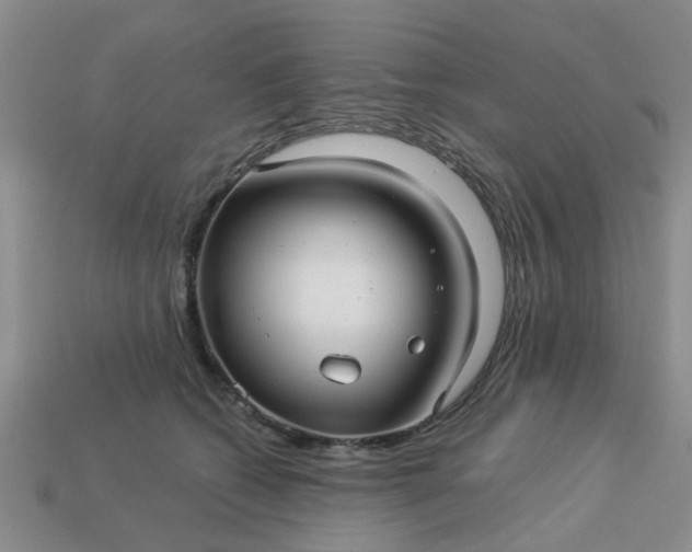 X0000113050562200909101941