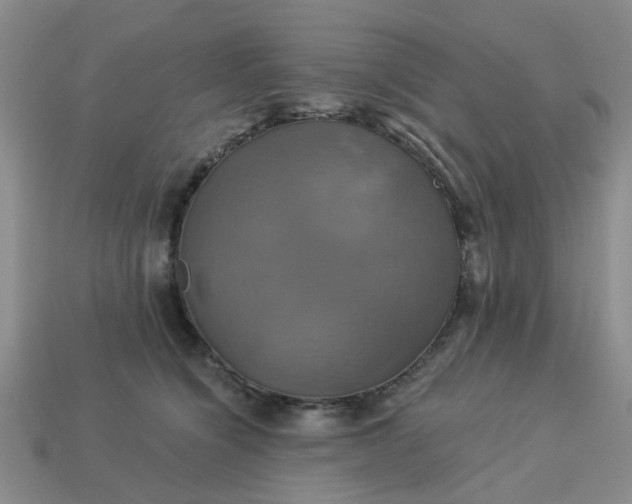 X0000113050564200909101941