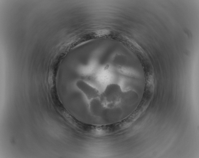 X0000113050565200909101941