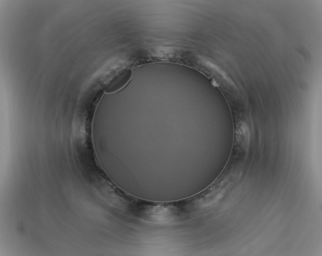 X0000113050566200909101941