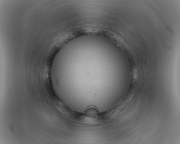 X0000113050567200909101941