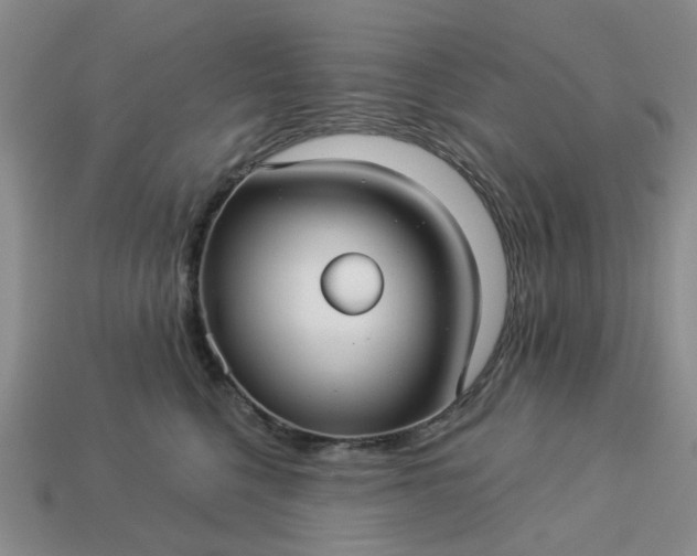 X0000113050568200909101941