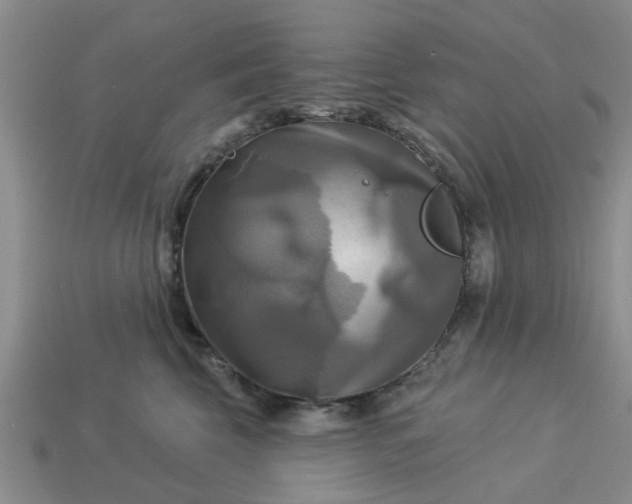 X0000113050569200909101941