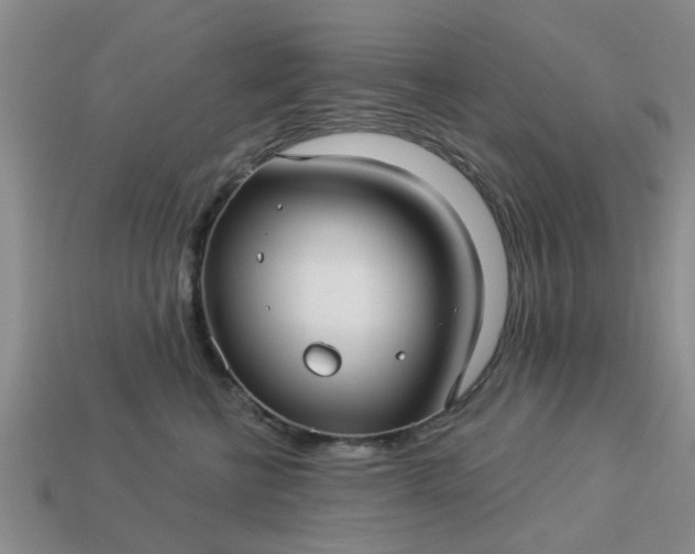 X0000113050570200909101941