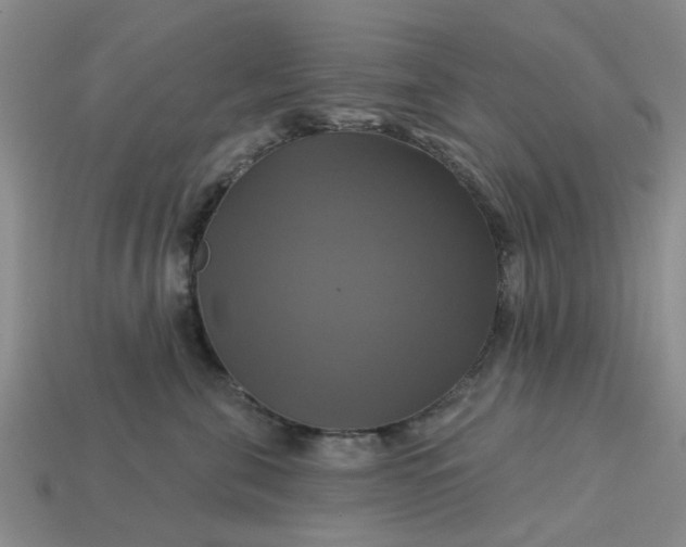 X0000113050571200909101941