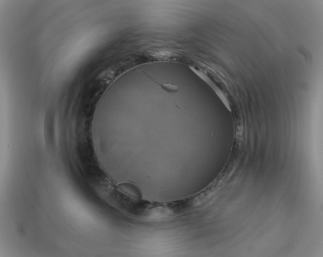 X0000113050572200909101941