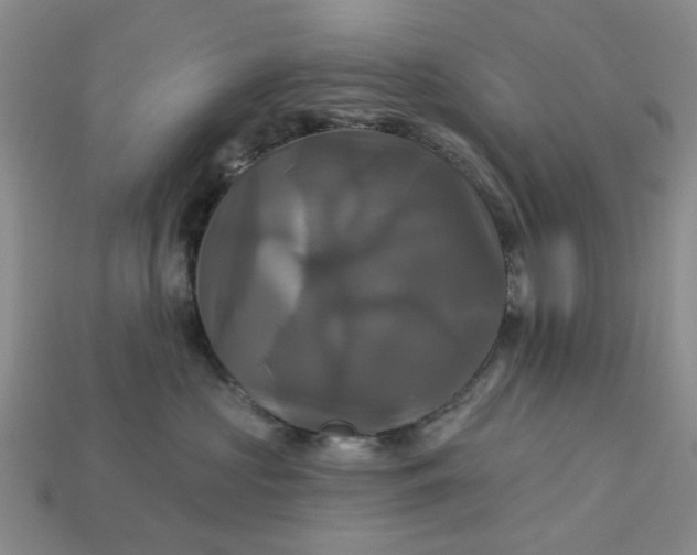 X0000113050573200909101941