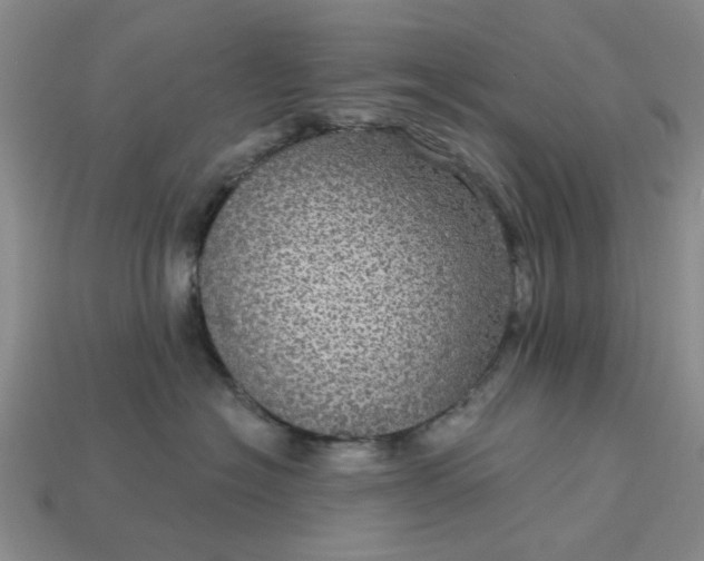 X0000113050574200909101941