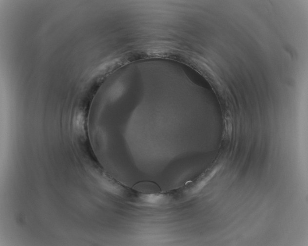 X0000113050575200909101941