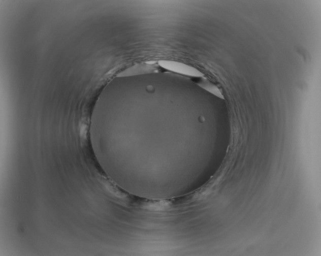 X0000113050576200909101941