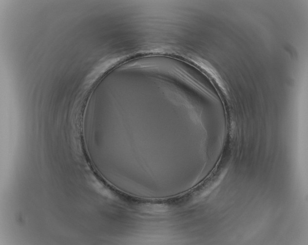 X0000113050577200909101941