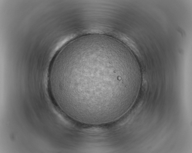 X0000113050578200909101941