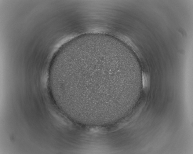 X0000113050579200909101941