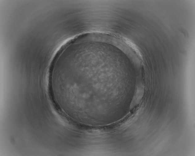 X0000113050580200909101941