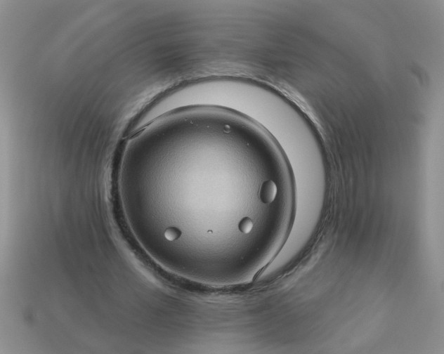 X0000113050581200909101941