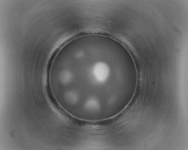 X0000113050582200909101941