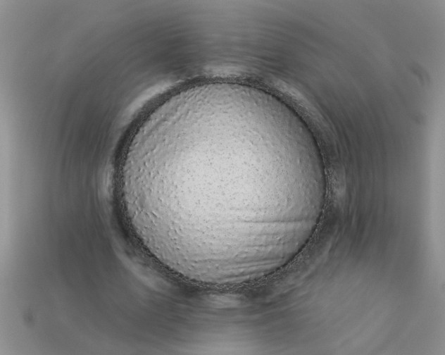 X0000113050583200909101941