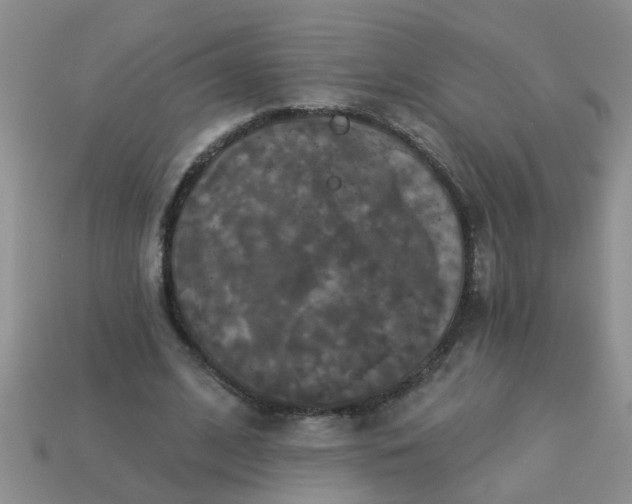 X0000113050584200909101941