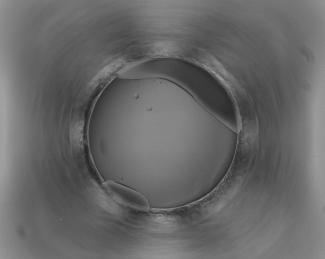 X0000113050585200909101941