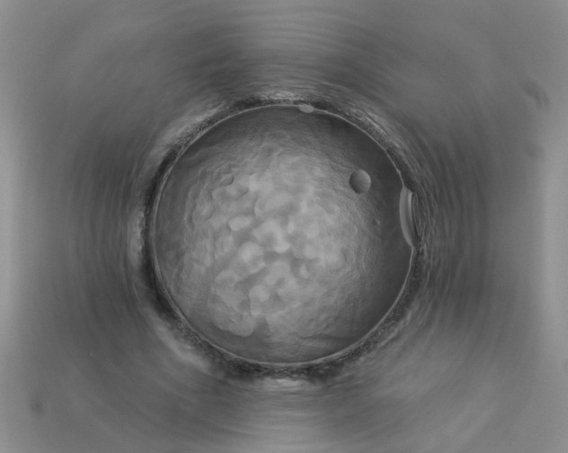 X0000113050586200909101941