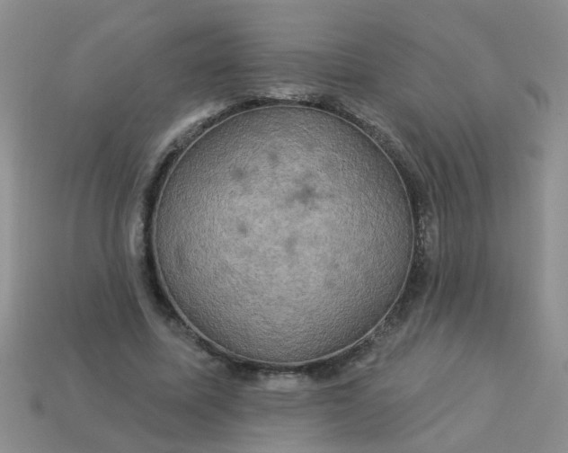 X0000113050587200909101941